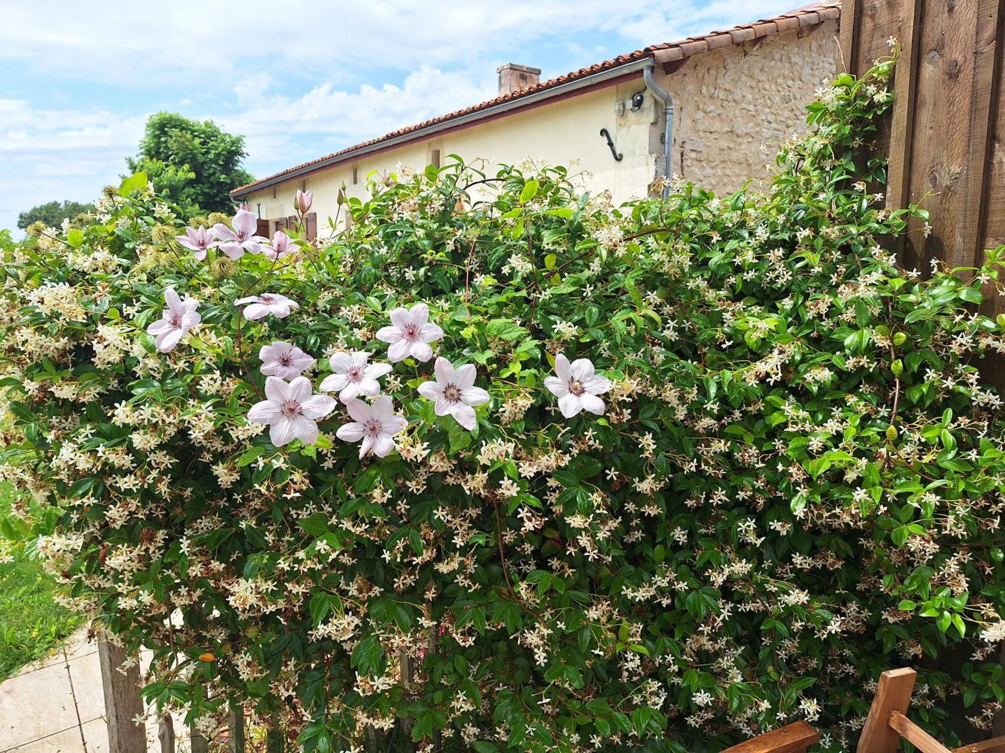 Gite Cosy Grand Confort Dans Un Ecrin De Verdure Agudelle Екстер'єр фото
