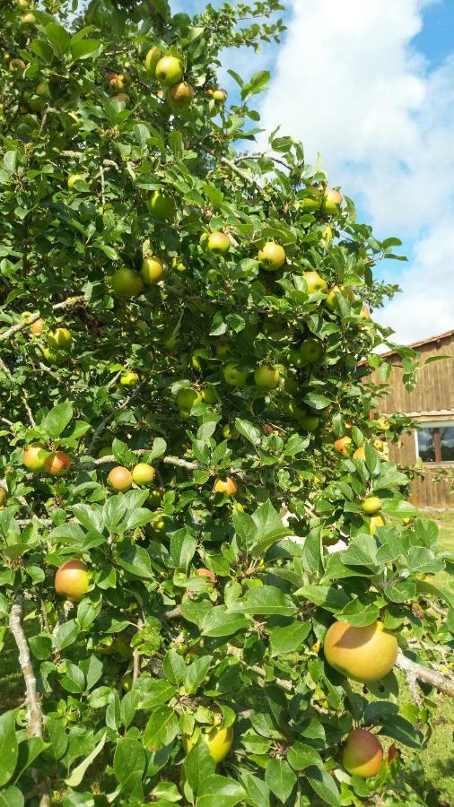 Gite Cosy Grand Confort Dans Un Ecrin De Verdure Agudelle Екстер'єр фото